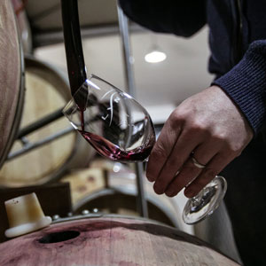 The Lynx Winery Estate distributed by Newton WInes, Crediton